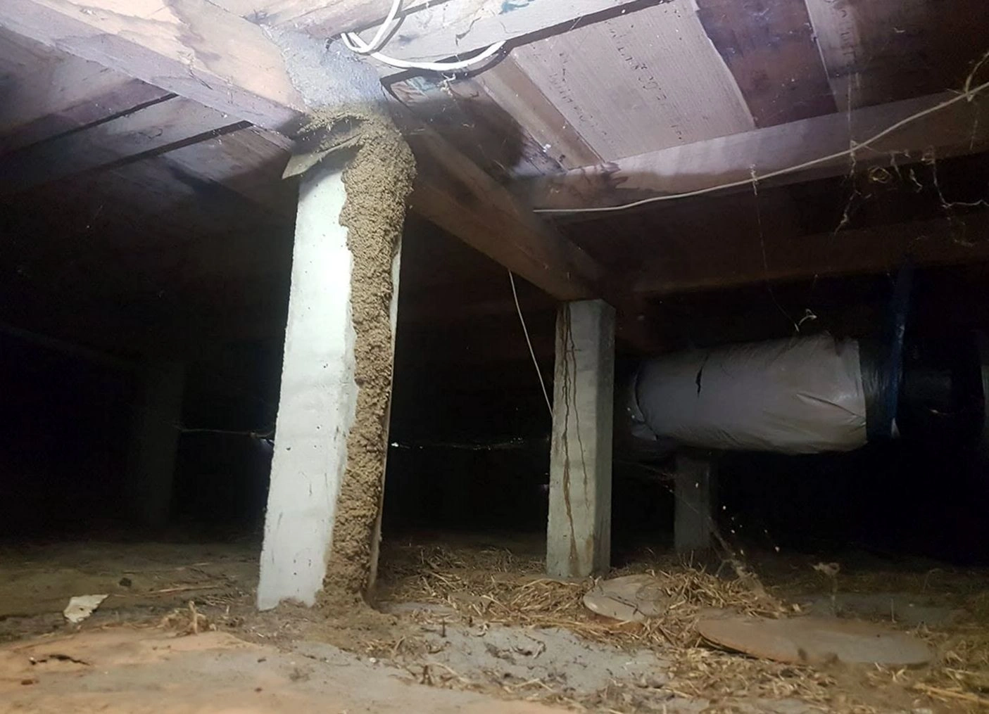 Preventative Service performed by West Worcester Pest Control in Worcester, MA